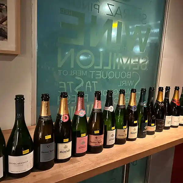 Curated selection of wine bottles lined up for evaluation